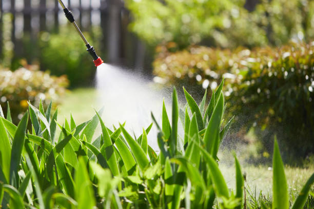 24/7 Emergency Ant Control experts in Carlyle, IL